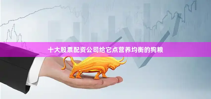 十大股票配资公司给它点营养均衡的狗粮